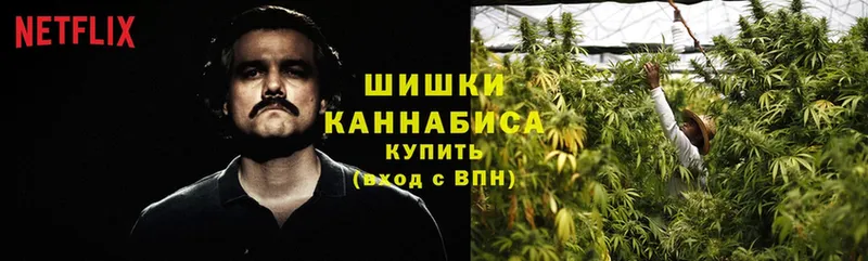 продажа наркотиков  mega сайт  Бошки марихуана Bruce Banner  Красногорск 